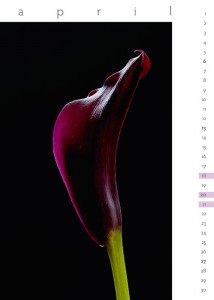 flora 2014 - Kalenderblatt April
