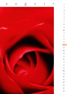 flora 2014 - Kalenderblatt August