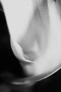 Calla
