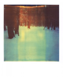 pola-wald