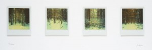 pola-wald - Tableau