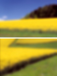 landshape - Tableau 1