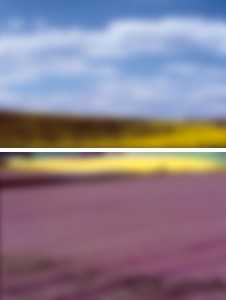 landshape - Tableau 2