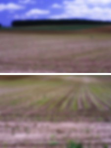 landshape - Tableau 3
