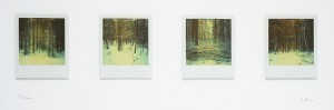pola-wald - Tableau